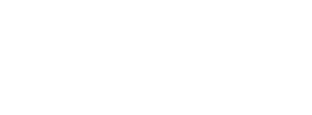 WebSeen
